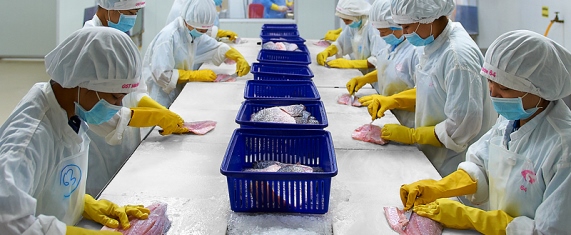 Production-Plant.jpg