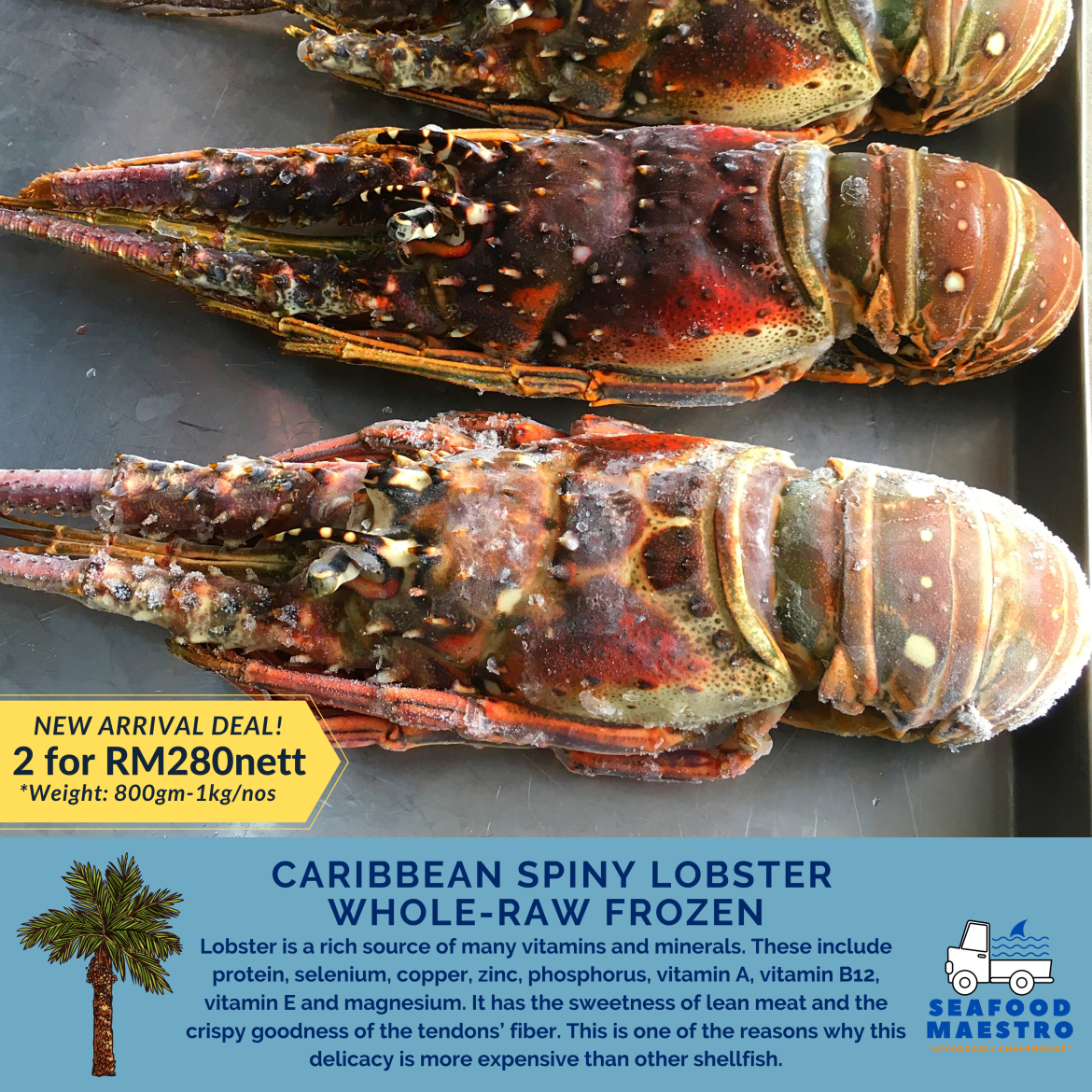 Caribbean-Lobster.png
