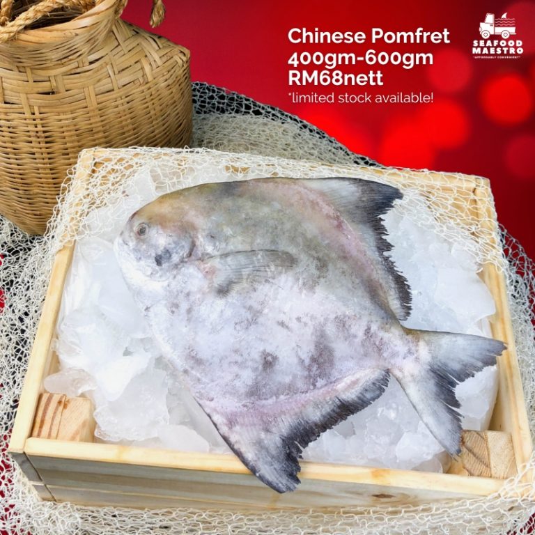 Frozen Sabah Chinese Pomfret (400600gm/nos) Seafood Maestro Malaysia
