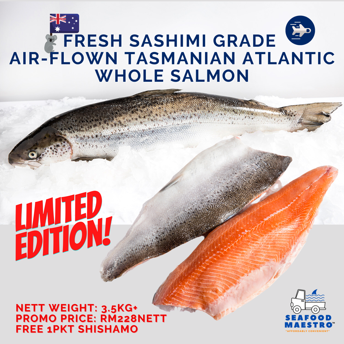 IG-Tasmania-Small.png