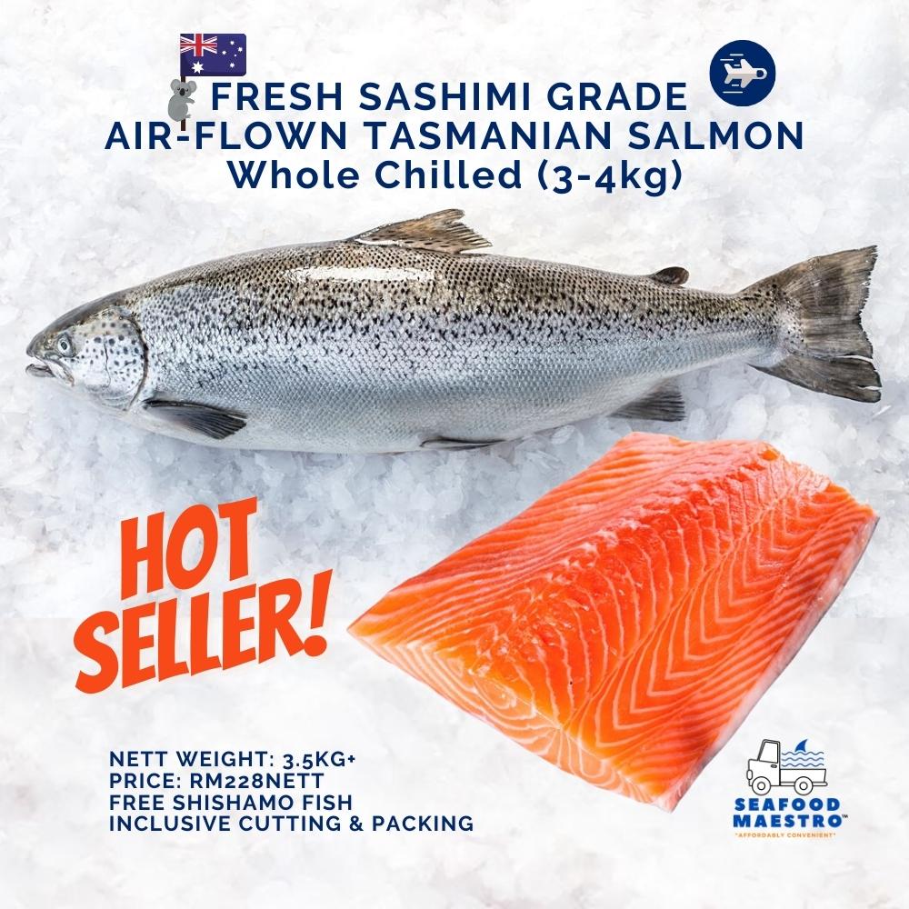 Tasmania-Salmon1.jpg