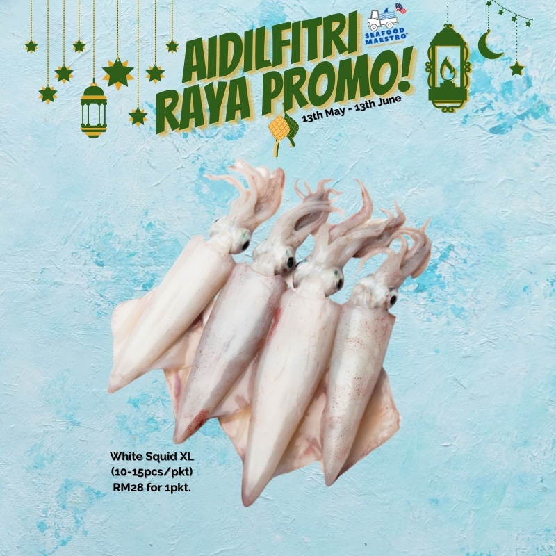 Copy-of-Raya-Combo.jpg