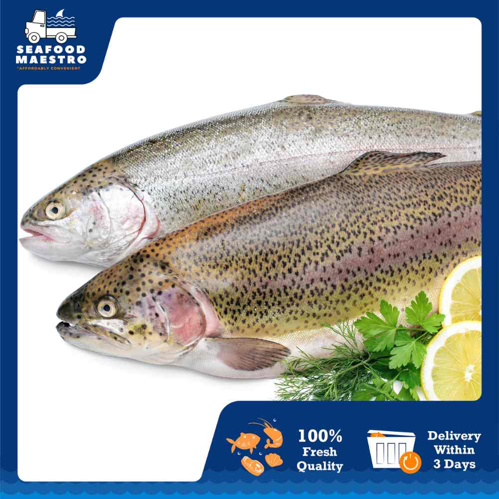 <a> Wild Turkish Rainbow Trout (250-300gm/fish) x 2 nos