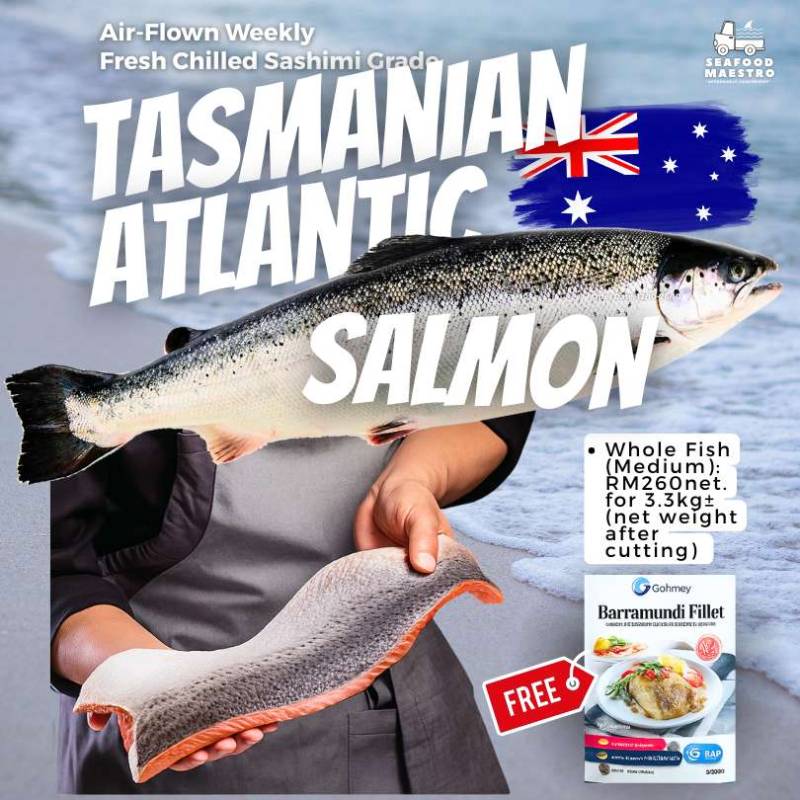 <a> Fresh Chilled Tasmanian Atlantic Salmon - Sashimi Grade