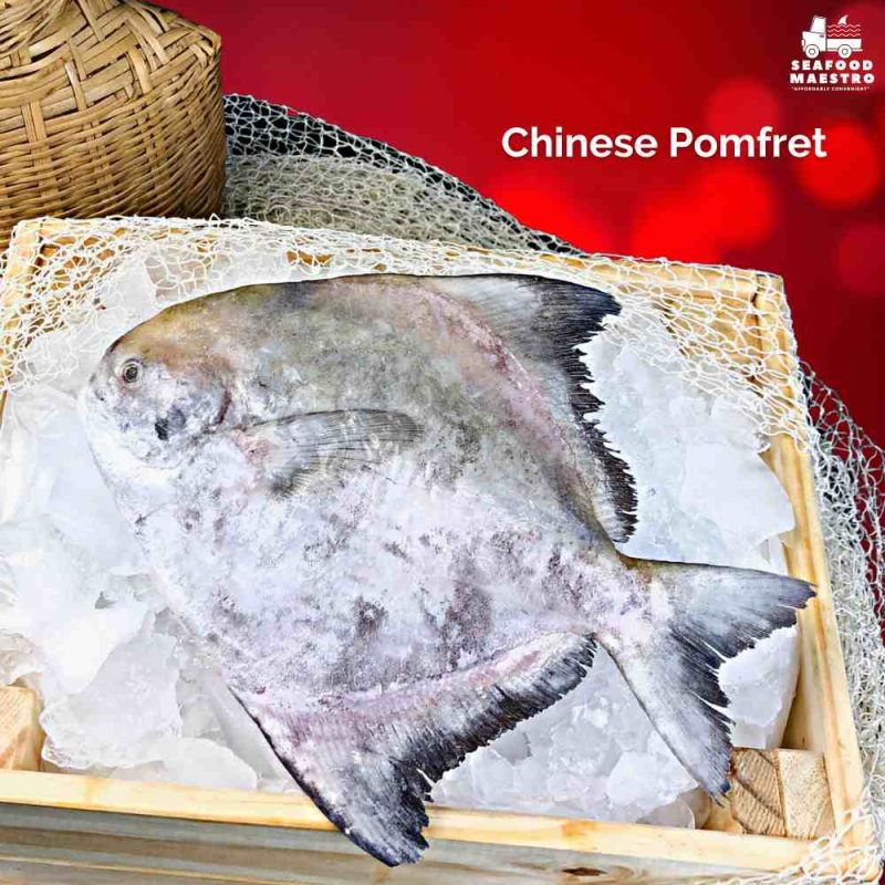 <a> Promo - Frozen Chinese Pomfret (800gm-1kg per fish)