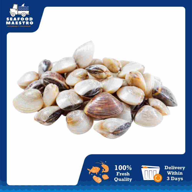 <d> Frozen Cooked White Clam 50-60pcs - 1kg/pkt