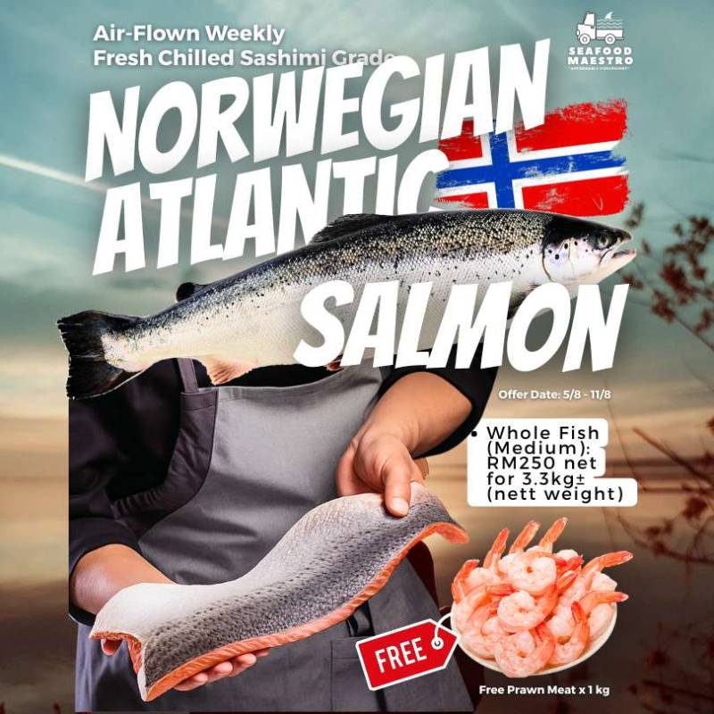 <a> Fresh Chilled Norwegian Atlantic Salmon - Sashimi Grade