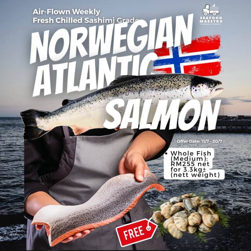 <a> Fresh Chilled Norwegian Atlantic Salmon - Sashimi Grade