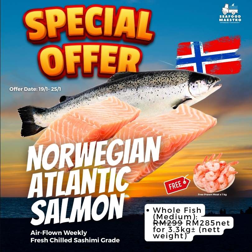 <a> Fresh Chilled Norwegian Atlantic Salmon - Sashimi Grade