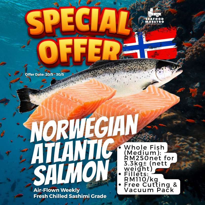 <a> (SPECIAL OFFER) Fresh Chilled Norwegian Atlantic Salmon - Sashimi Grade