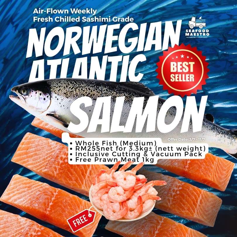 <a> Fresh Chilled Norwegian Atlantic Salmon - Sashimi Grade