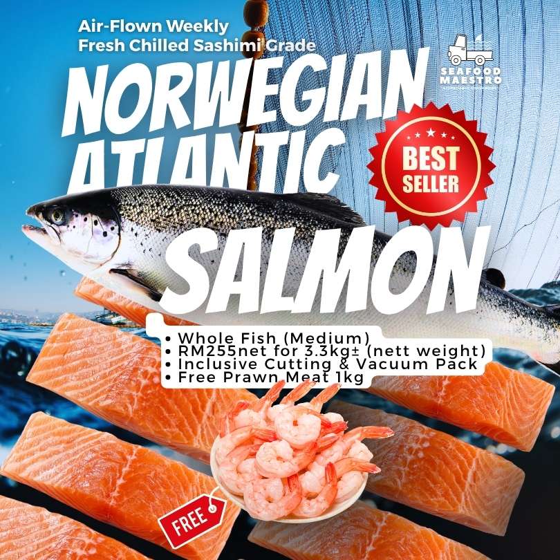<a> Fresh Chilled Norwegian Atlantic Salmon - Sashimi Grade