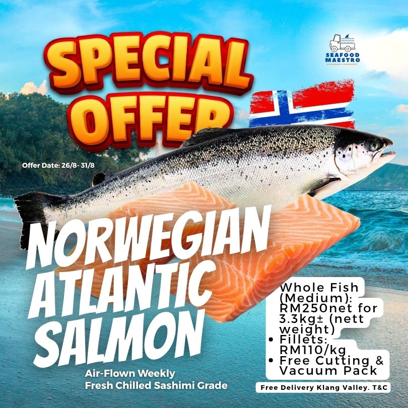 <a> (PROMO) Fresh Chilled Norwegian Atlantic Salmon - Sashimi Grade