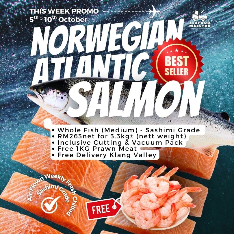 <a> (THIS WEEK PROMO) Fresh Chilled Norwegian Atlantic Salmon - Sashimi Grade
